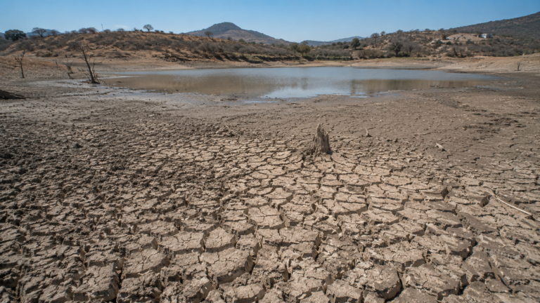 Argentina, Bolivia y México agotarán sus recursos naturales antes de agosto 2026