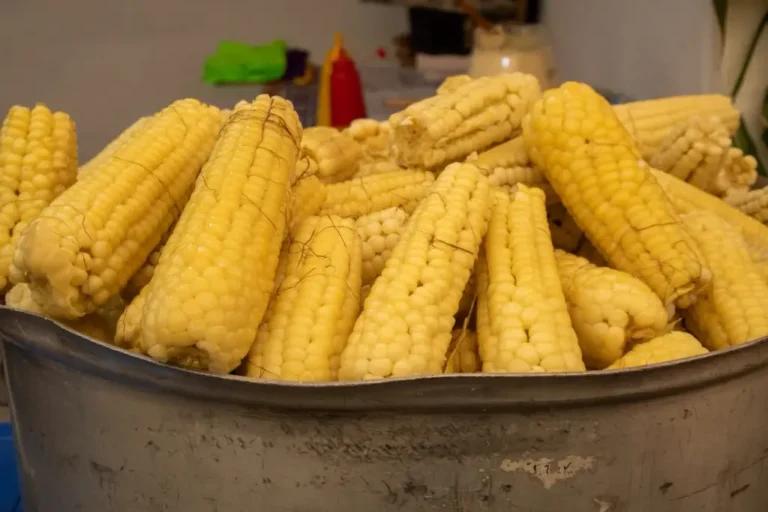 La Feria Nacional del Elote 2026 llega a Topilejo: esquites con tuétano, garnachas y música para celebrar las fiestas patrias
