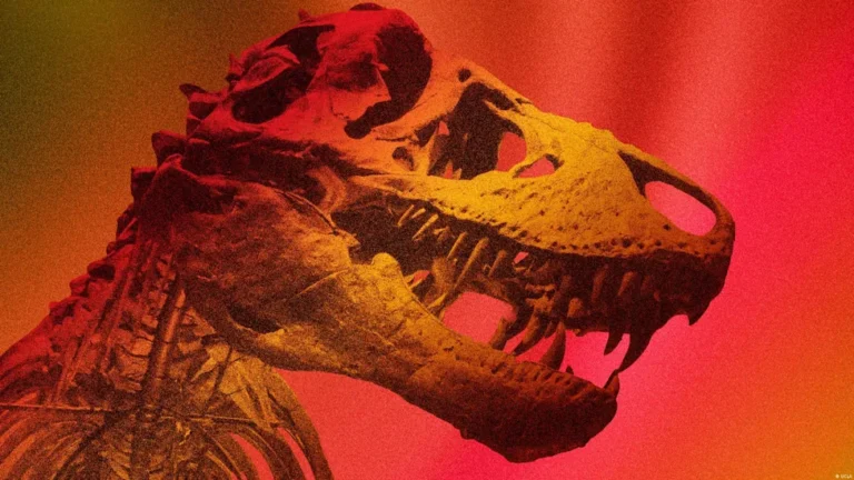 El T. rex tenía sangre caliente y su temperatura corporal era sorprendentemente cercana a la humana