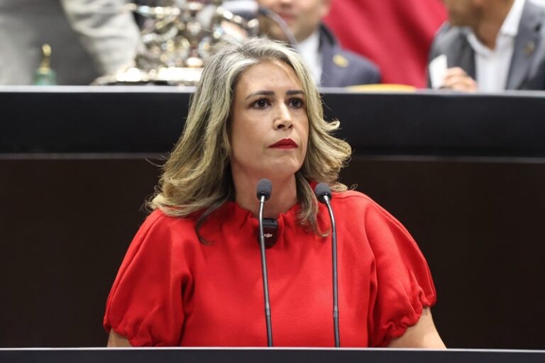 Certificados oficiales buscan llegar gratis y en línea
