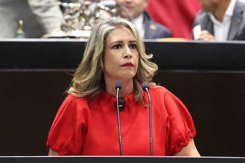 Certificados oficiales buscan llegar gratis y en línea